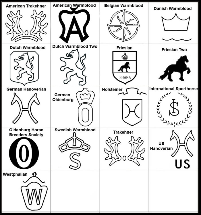 American Trakehner, Trakehner, Belgian Warmblood, Danish Warmblood, Dutch Warmblood, Friesian, German Oldenburg, American Warmblood, International Sporthorse, Oldenburg Horse Breeders Society, Swedish Warmblood, Holsteiner, US Hanoverian, German Hanoverian, Westphalian