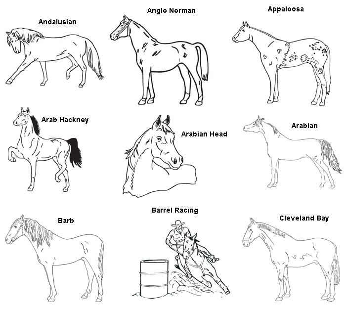 First group og engraved horse designs.