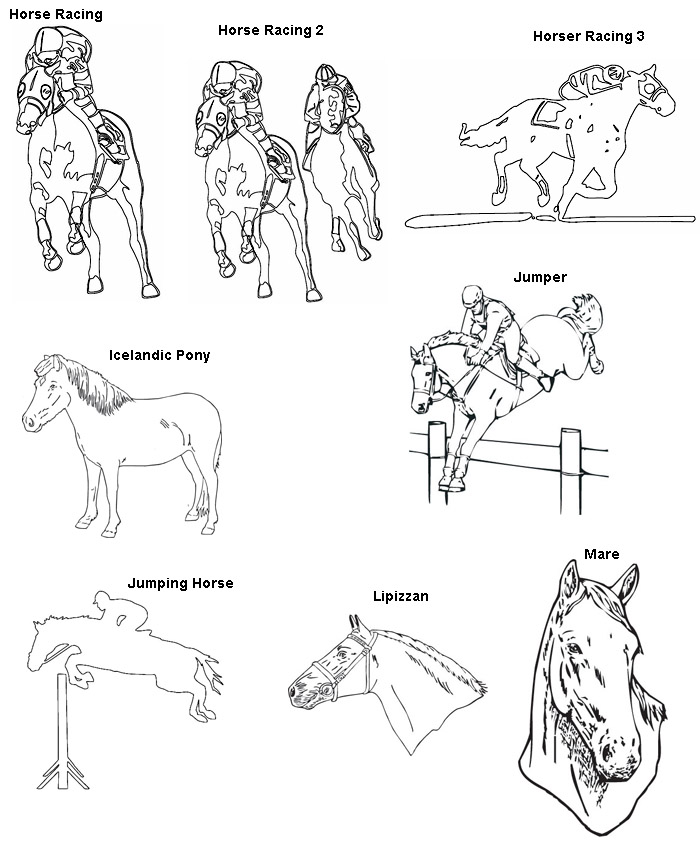 Third group og engraved horse designs.