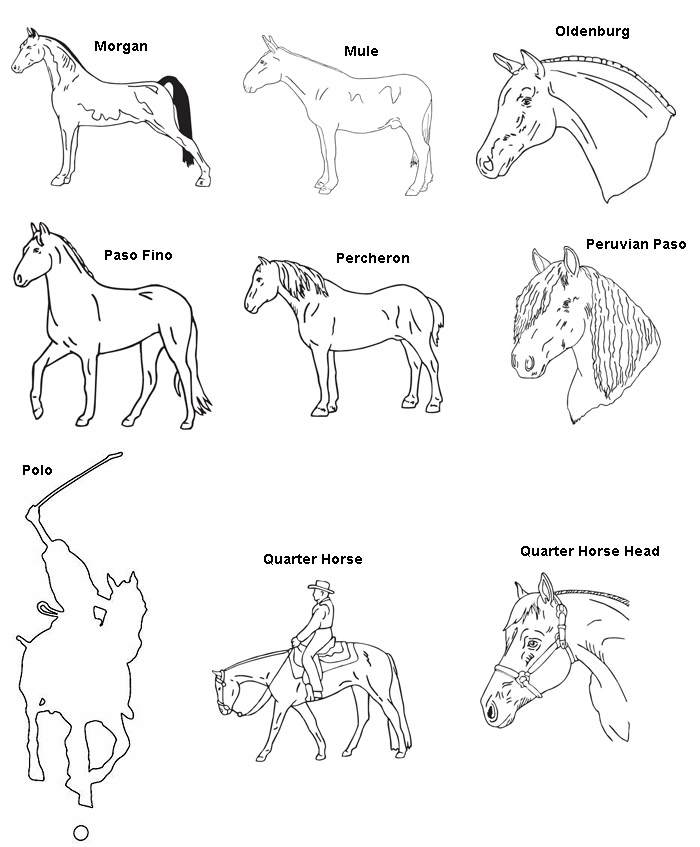 Fourth engraving horse designs.