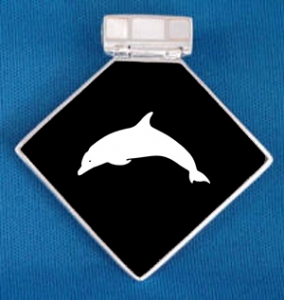 Engraved Black Onyx Necklace w/ Marine Design 2