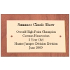 2 x 3 1/2 Brass Sign