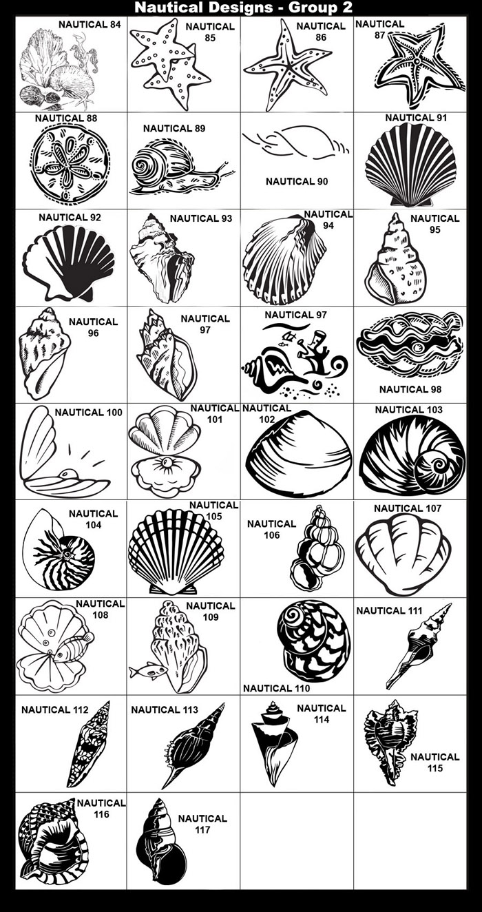 Seashells, Starfish, Sand Dollar, Snail, Under the Sea, Clam, Oyster, Pearl, Moon Shell, Nautilus, Seashell, Scallop, Wentle Trap, Bednall's Volute, Distaff Spindle, Glory of India Cone, Martinis Tibia, Miraculous Thatcher, Murex Peeve, Pacific Triton, Whelkl