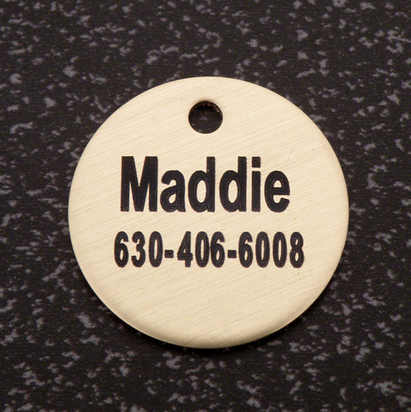 Personalized Engraved Brass Bridle Tag