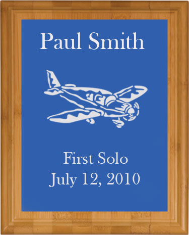 Plane, Jet, Pilot, Airplane, Bi-Plane, Solo, Pilot License, Flying, Aircraft, Aviation, Dassault Jet