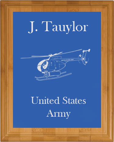 Sea King Helicopter, Seahawk Helicopter, Helicopter Pilot, Flight Training