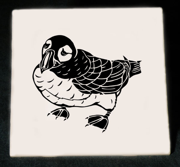 Kingfisher, Kite, Lory, Lovebird, Lxulus, Macaw, Mandarin Duck, Mannikin, Morning Dove, Myna