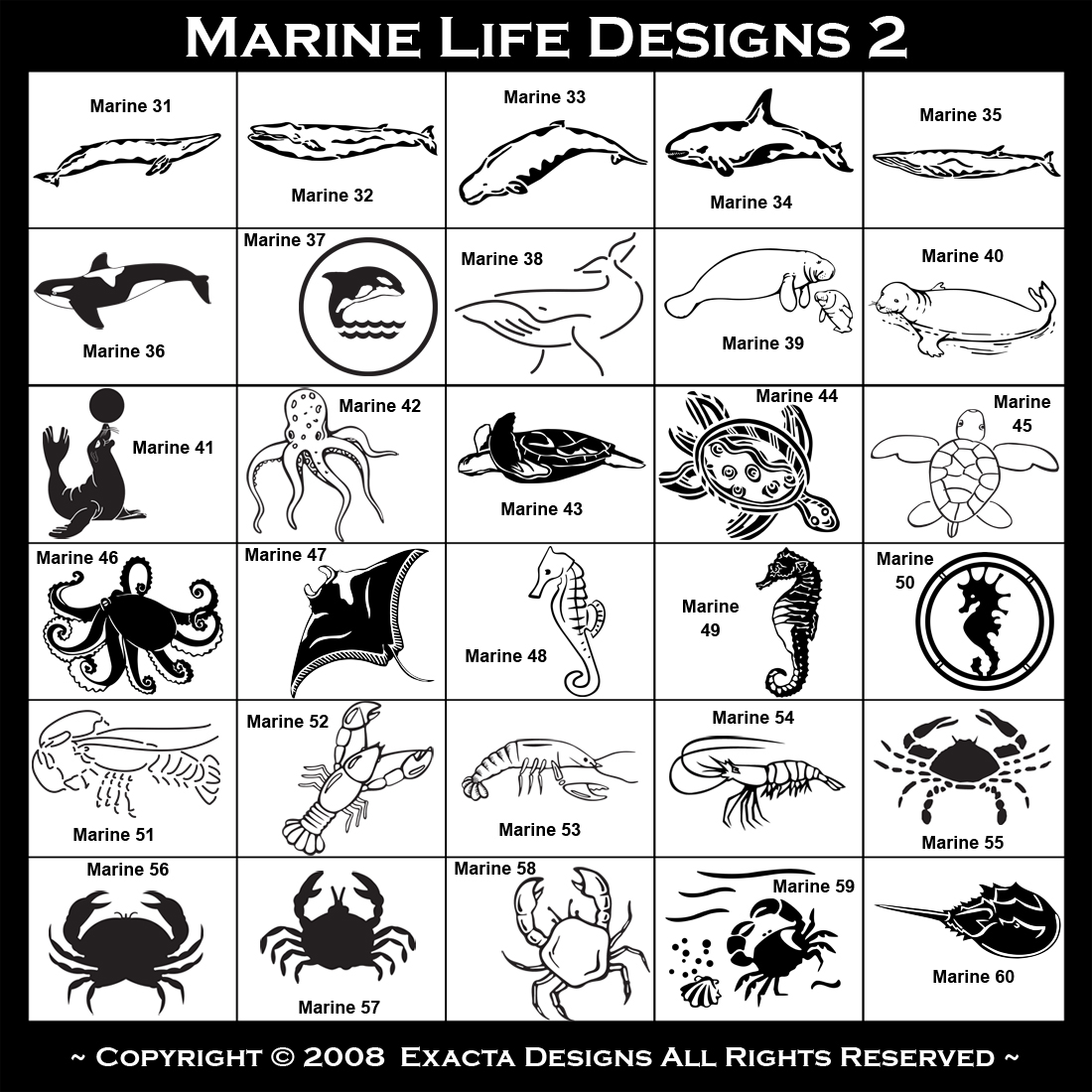 Swan River Goby, Angel Fish, Angler Fish, Barracuda, Cod, Flying Fish