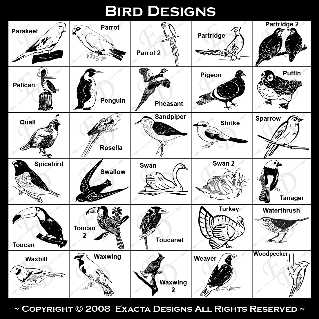 White Headed, Bengalese, Blackbird, Bobby, Bobwhite, Bird Watching