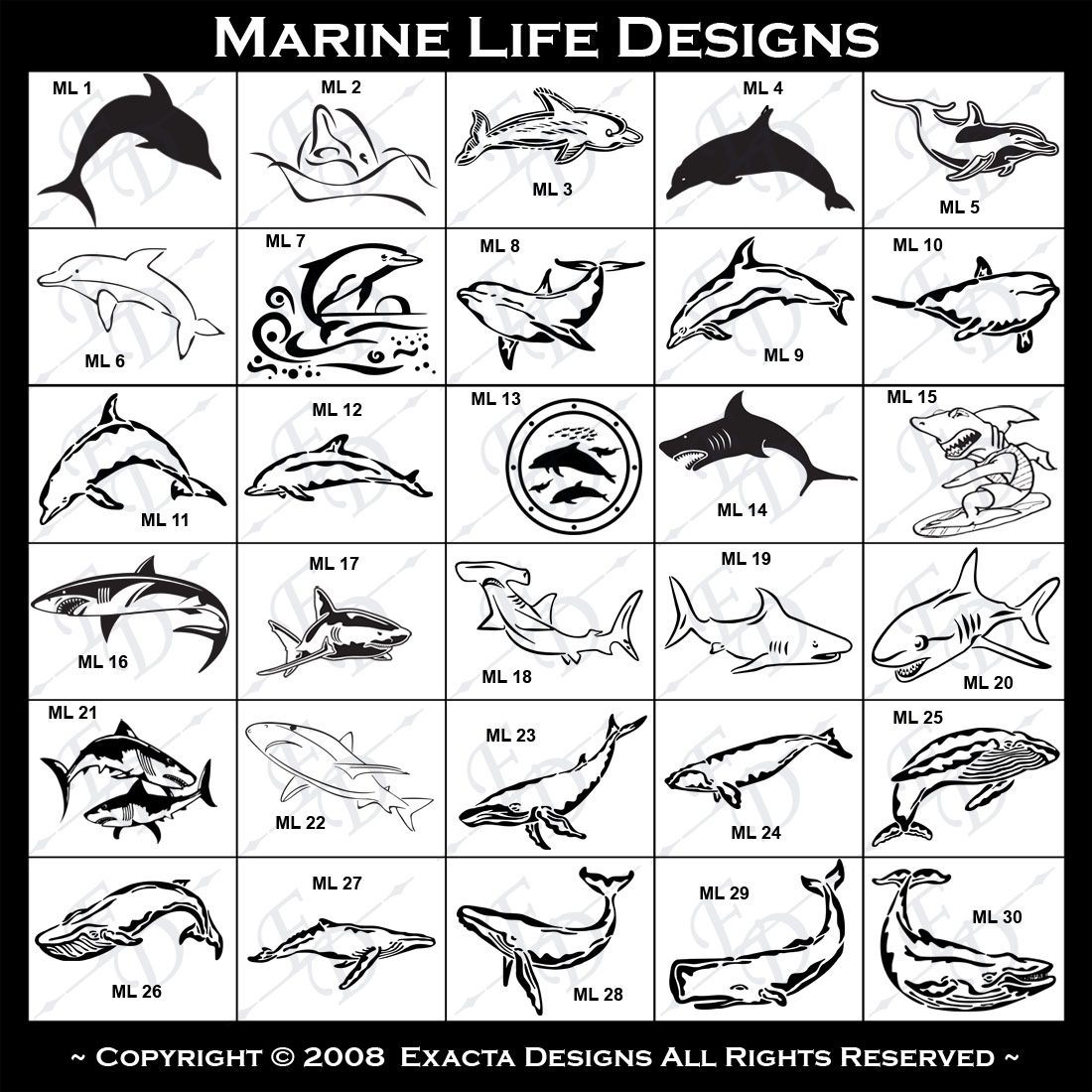 Fish, Fishing, Dolphin, Porpoise, Shark, Surfing Shark, Hammerhead Shark