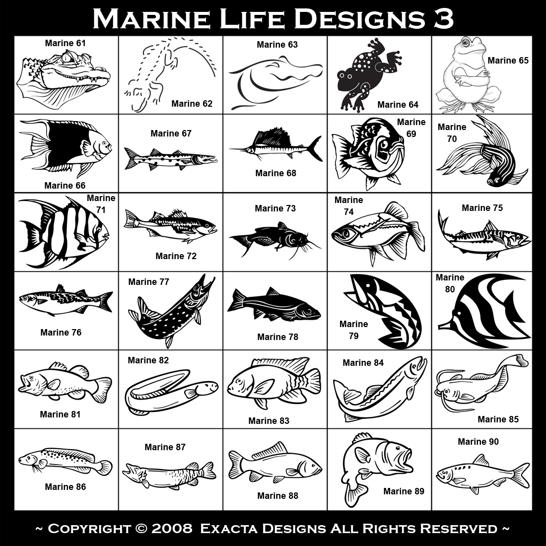 Sturgeon, Surfperch, Trout, Walleye, Yellow Fin Tuna, Flying Fish, Eel