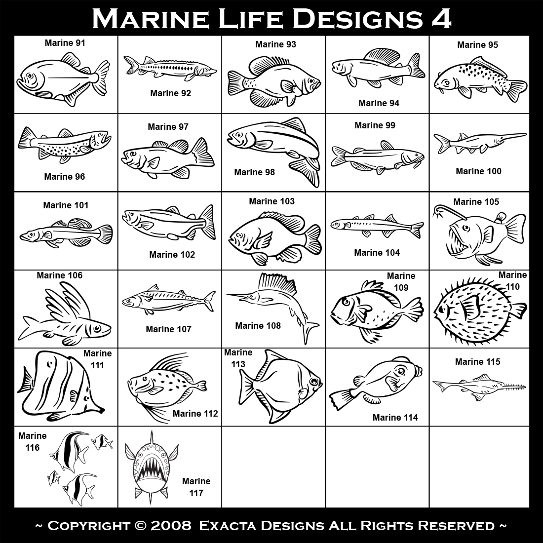 Cutthroat Trout, Salmon, Channel Catfish, Paddlefish, Coho Salmon, Sunfish