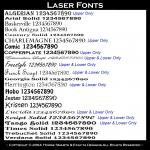 Single Engine Airplane, Twin Engine Airplane, Jet Aircraft, T-Tail, Piper, Pilot License, Cessna 172