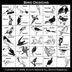 Kingfisher, Kite, Lory, Lovebird, Lxulus, Macaw, Mandarin Duck, Mannikin, Morning Dove, Myna