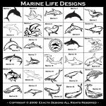 Horseshoe Crab, Alligator, Crocodile, Frog, Angelfish, Bass, Goldfish, Marlin