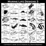 Largemouth Bass, Pink Salmon, Tilapia, Salmon, Catfish, River Blackfish