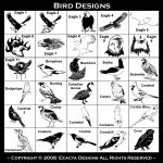 Mynah, Nightingale, Osprey, Owl, Parakeet, Parrot, Partridge, Pelican, Penguin, Pheasant, Pigeon, Puffin