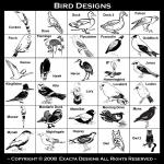 Quail, Rosella, Sandpiper, Seagull, Shrike, Sparrow, Spicebird, Swallow, Swan, Tanager, Toucan