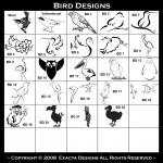 Eagle, Sea Eagle, Eagles, Raptor, Female Bald Eagle, Bird of Prey, Male Bald Eagle