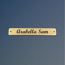 Engraved brass horse bridle nameplate.