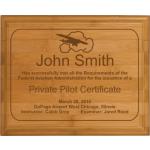 You Passed Your Checkride! Recognize the occasion with one of our bamboo aviation pilot plaques. Aviation Plaque